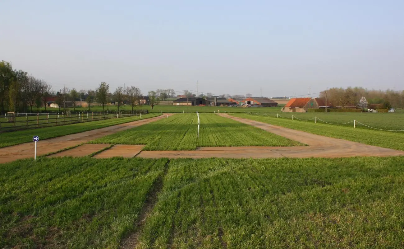Stalen rijplaten leveren en plaatsen tijdelijke parking evenement